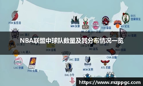 NBA联盟中球队数量及其分布情况一览